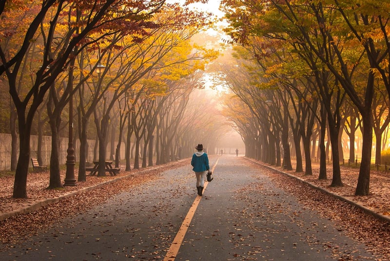 Woman Walking in Nature
